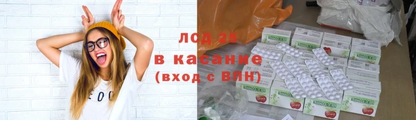 хмурый Алзамай