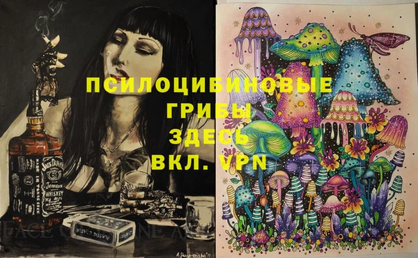 бошки Алексеевка