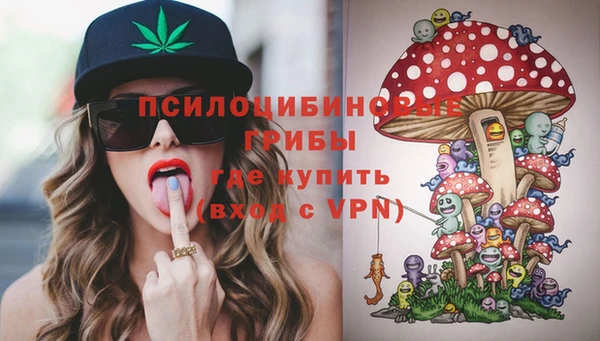 spice Абаза