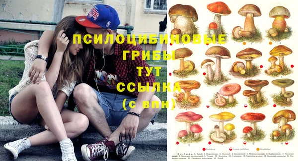 бошки Алексеевка