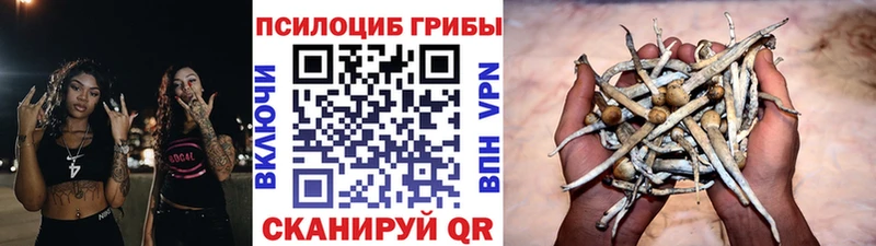 Галлюциногенные грибы мицелий  Морозовск 