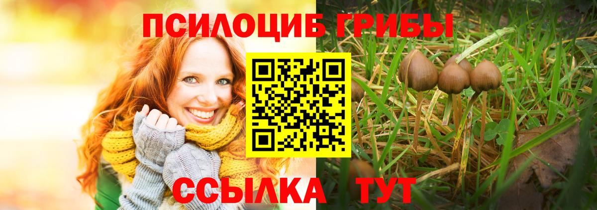 Галлюциногенные грибы Cubensis  Вход с VPN  Морозовск 